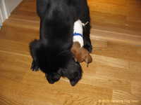  Odin&Aleena 015.jpg 